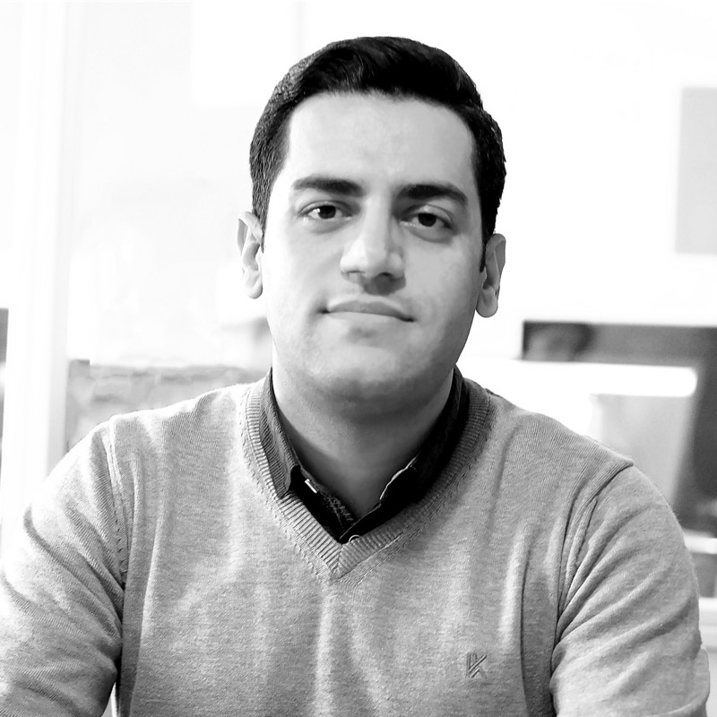 Ehsan Maani